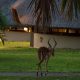 The outside of a Lalapanzi Deluxe Chatlet at Bonamanzi Game Reserve in Hluhluwe