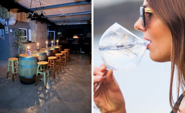 A Gin Tasting Experience for You and a Plus One - Image 2