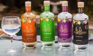 A selection of Gin available at Gember Distillery in Muizenberg