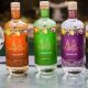 A selection of Gin available at Gember Distillery in Muizenberg