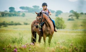 A young girl enjoying a 1-hour horse riding experience from Harties 'Horse and Trail' Unlimited in Hartbeespoort