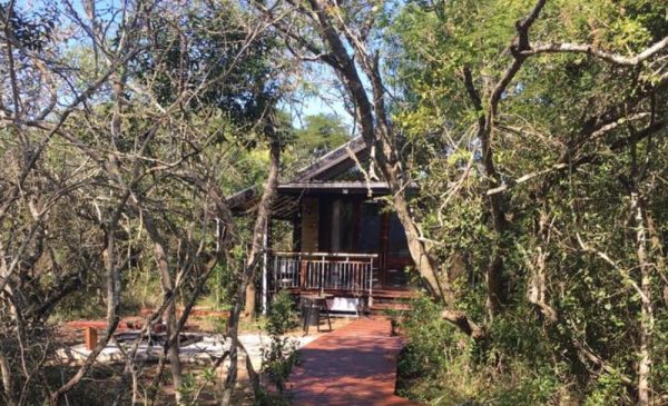 Experience Nature at its Best With a 2-Night Self-Catering Bush Stay - Image 7