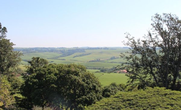Stay in Luxury Along the North Coast with a 1-Night Stay at the Historic Kearsney Manor - Image 7