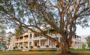 A 1-night Stay at Kearsney Manor