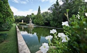 The garden at Shades of Summer Boutique Hotel in Centurion