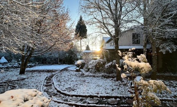 A Romantic 2-Night Winter Getaway in Dullstroom