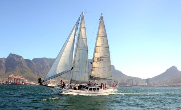 See the Beauty of Cape Town with a 60-Minute Cruise For Two - Image 3