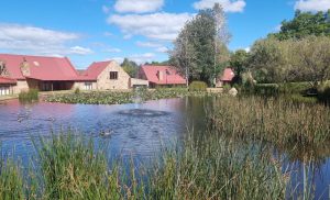 A 2-Night Stay for a Family of 4 in a Dullstroom Cottage