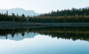 A 6-Day/5-Night Flyfish and Golf Safari in Dullstroom