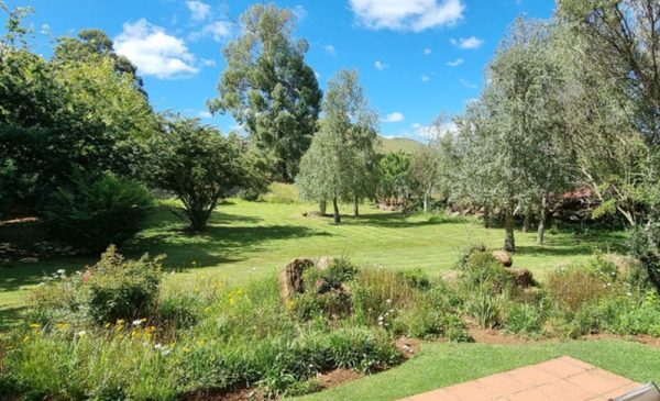 Enjoy the Outdoors with 6-Day/5-Night Flyfish and Golf Safari in Dullstroom - Image 7