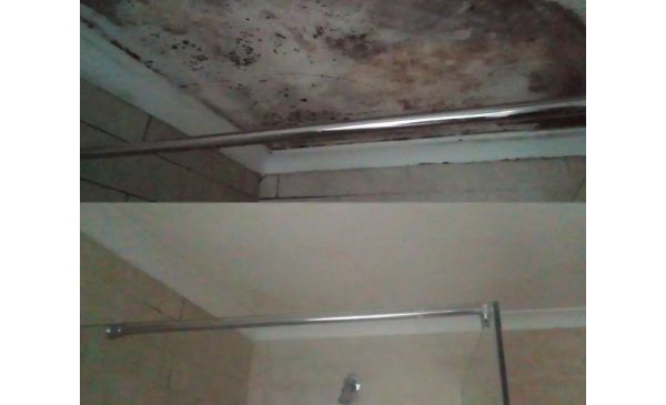 Maintain Your Home with a Deep Cleaning and Pest Control Service - Image 4