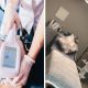 A Fat-Freezing Session in Langebaan