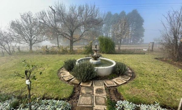 The garden at Love Story Guesthouse in Paul Roux