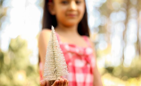 Keep Special Memories of the Festive Season with an Outdoor Christmas Mini Photoshoot - Image 4