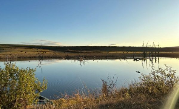 Unwind in the Picturesque Midlands Meander with A Self-Catering Stay for 4 - Image 8