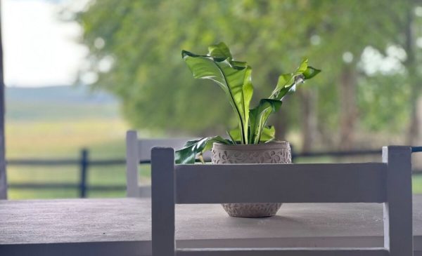 Unwind in the Picturesque Midlands Meander with A Self-Catering Stay for 4 - Image 7