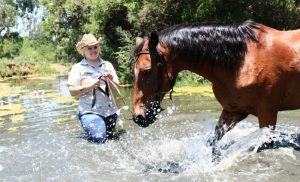 A 1-Hour Scenic Outride for 2 in Lanseria