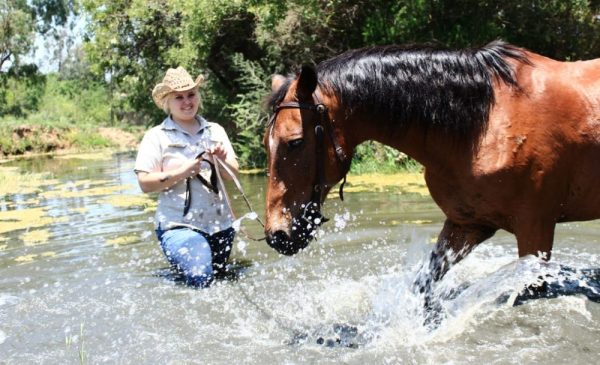 A 1-Hour Scenic Outride for 2 in Lanseria