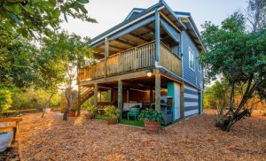 A 1-Night Self-Catering Stay in a Luxury Treehouse in Wilderness