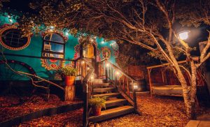 The outside of the Gypsy Vardo from Treedom Villas and Vardos in Wilderness