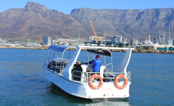 Family friendly boat cruise for 4 in Cape Town - Image 2