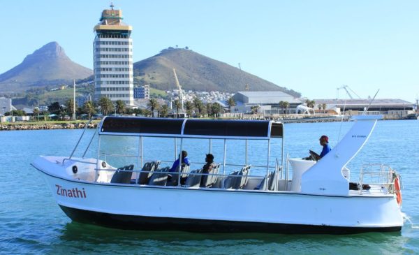 Family friendly boat cruise for 4 in Cape Town