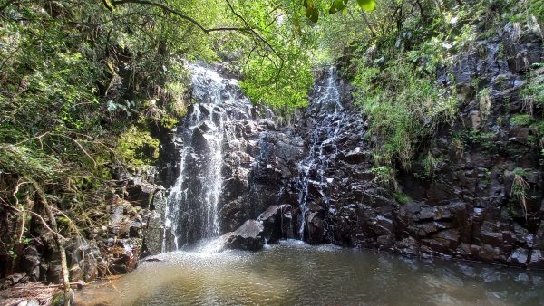 2-night stay for 2 in luscious Mount Sheba Rainforest in Mpumalanga - Image 5