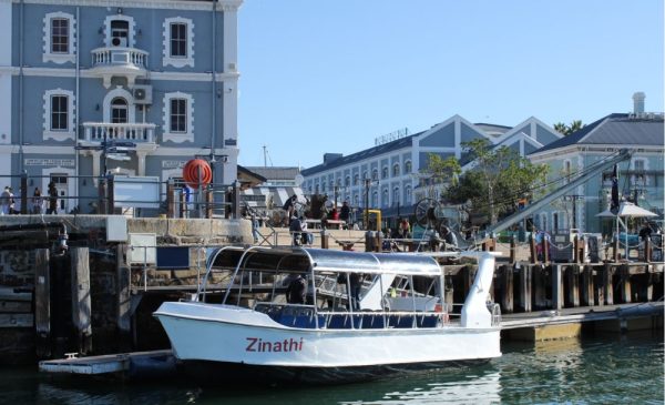 Family friendly boat cruise for 4 in Cape Town - Image 3