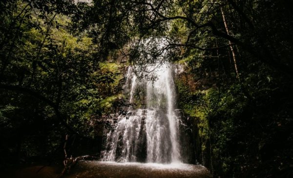 2-night stay for 2 in luscious Mount Sheba Rainforest in Mpumalanga - Image 4