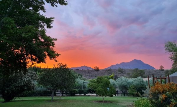 A 1-Night Getaway in the Historic Tulbagh Valley for a Family of 4 - Image 14