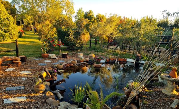 A 1-Night Getaway in the Historic Tulbagh Valley for a Family of 4 - Image 13