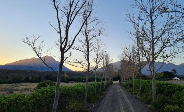 A 1-Night Getaway in the Historic Tulbagh Valley for a Family of 4 - Image 15