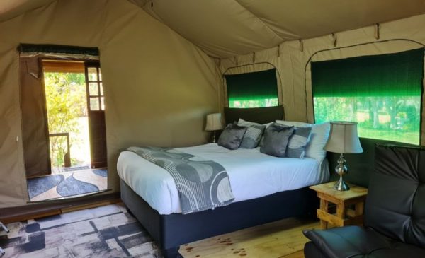 A Stay in a 4-Sleeper Luxury Tent in Serene Natural Surroundings - Image 3