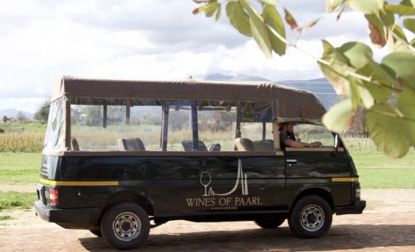 A Wine Safari Tour for a Group of 4 Along a World-Famous Wine Route - Image 3