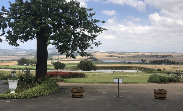 A Wine Safari Tour for a Group of 4 Along a World-Famous Wine Route - Image 8