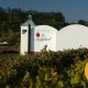 Midweek escape for 2 with breakfast included in Stellenbosch