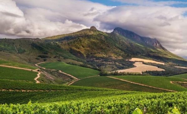 Scenic midweek stay for 2 in Stellenbosch - Image 12