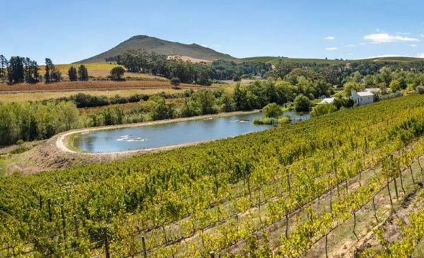 Scenic midweek stay for 2 in Stellenbosch - Image 13