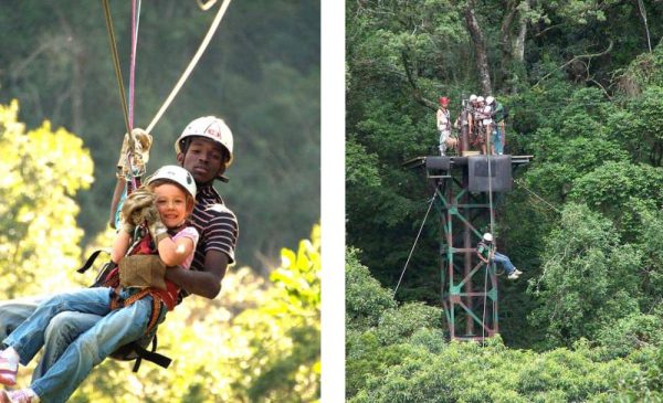 2-hour ziplining experience in Howick - Image 2