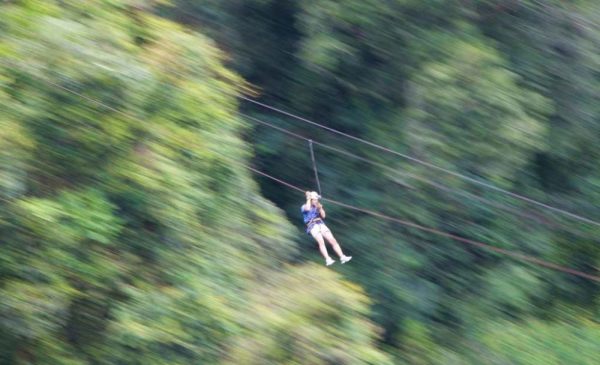 2-hour ziplining experience in Howick - Image 3