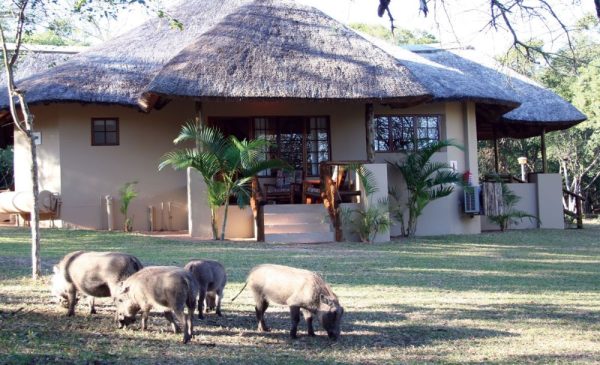 Game Reserve stay in Kwa-Zulu Natal - Image 5