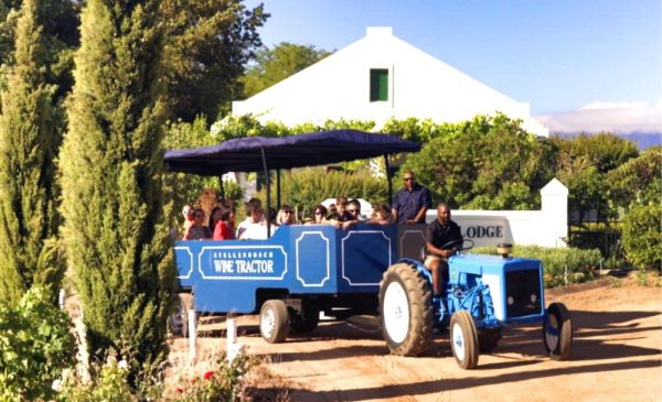 All Aboard the Stellenbosch Wine Tractor for a Unique Wine Tasting Experience - Image 2