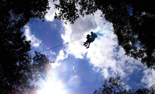2-hour ziplining experience in Howick - Image 5