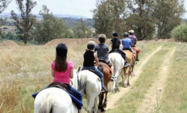A thrilling outdoor experience for 2 in Rayton - Image 5