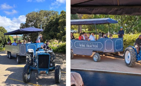 All Aboard the Stellenbosch Wine Tractor for a Unique Wine Tasting Experience - Image 5