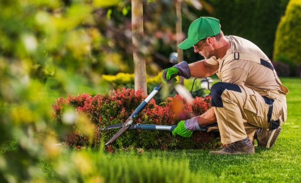 4-hour garden service in Joburg and Pretoria