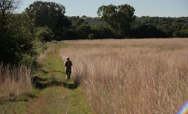 Enjoy the Small Town Charm of Parys with 1-Night Stay - Image 12