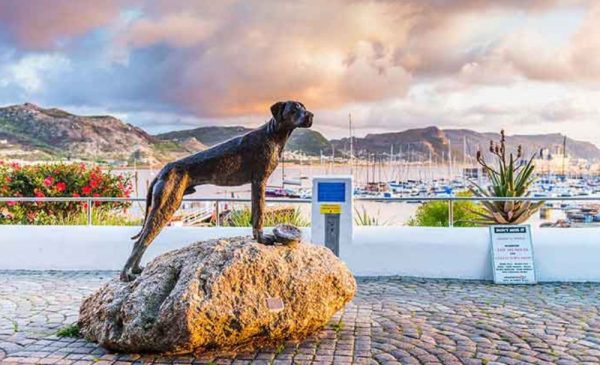 Experience Seaside Serenity with a 1-Night Stay in Simon's Town - Image 11