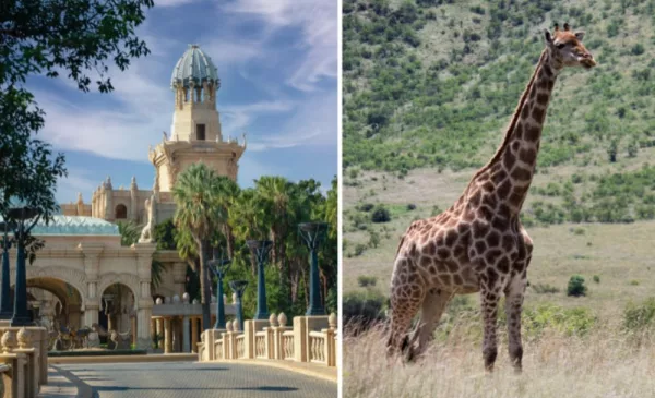 romantic 1-night stay for 2