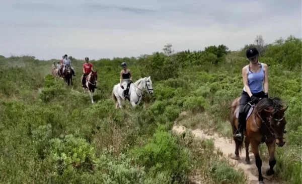 1-hour horse riding experience for 2
